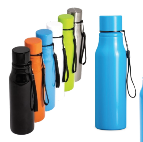 Garrafa Inox 750ml